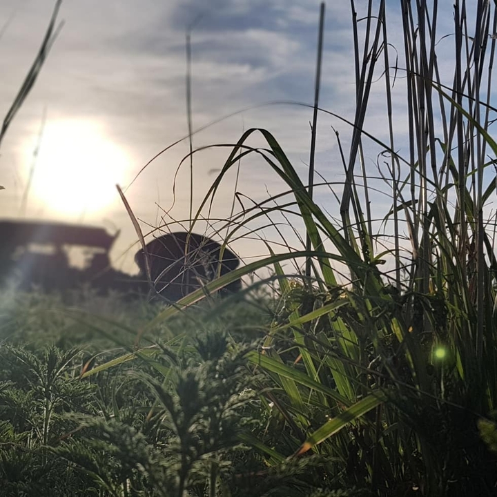 atardecer#tractor