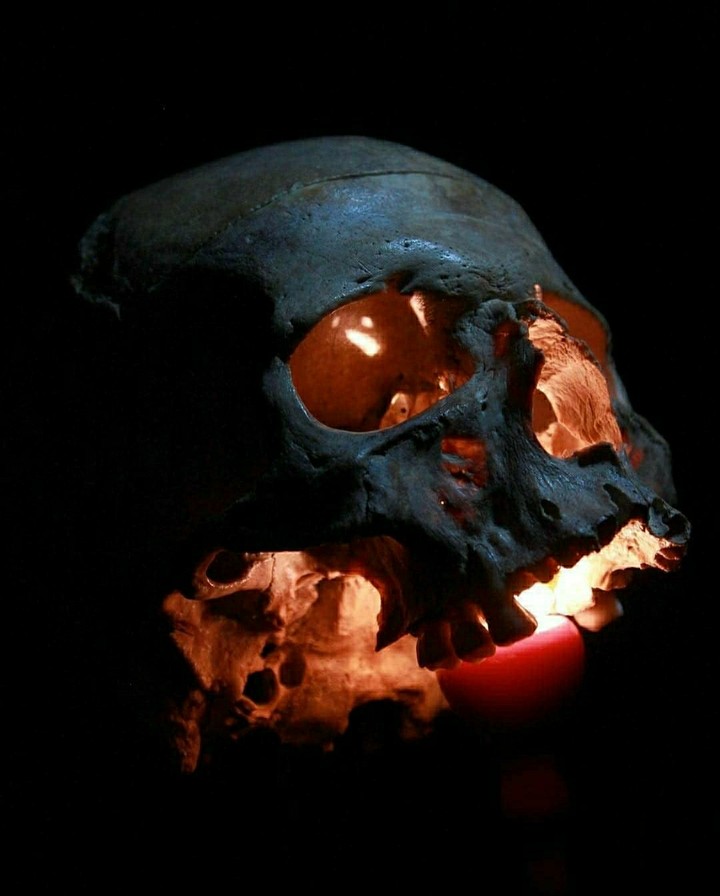 horror, thrill