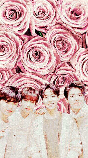 The Rose wallpaper