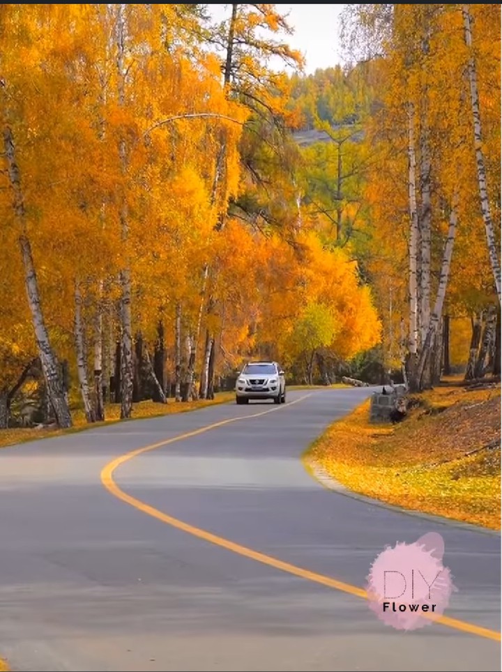 yellow car