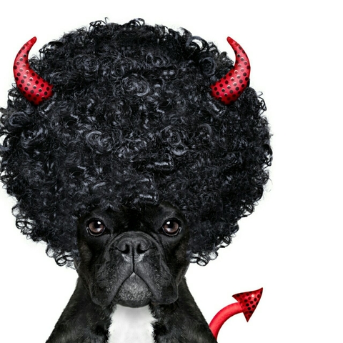 Do you remember me!!!