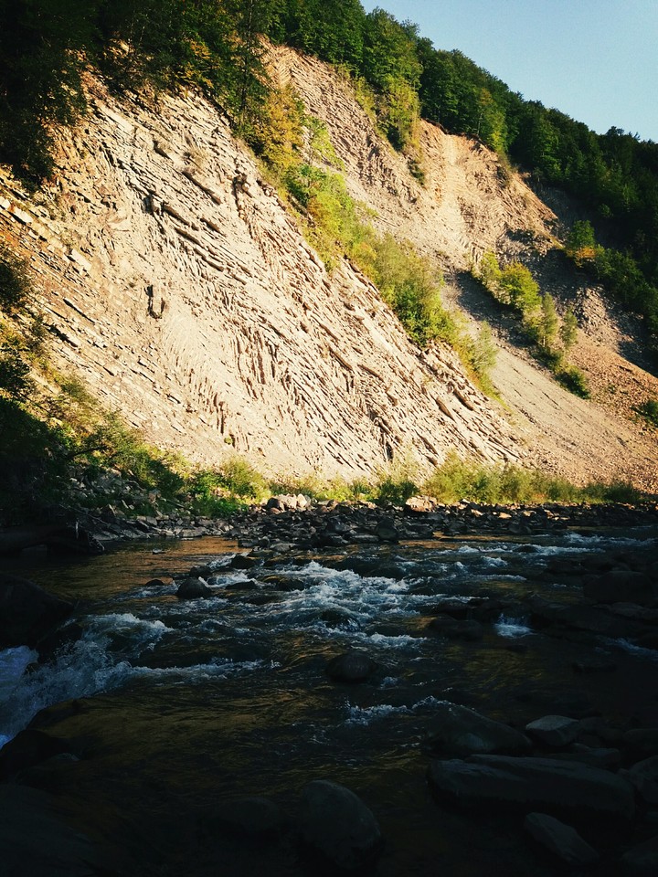nature
