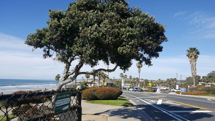 north cali