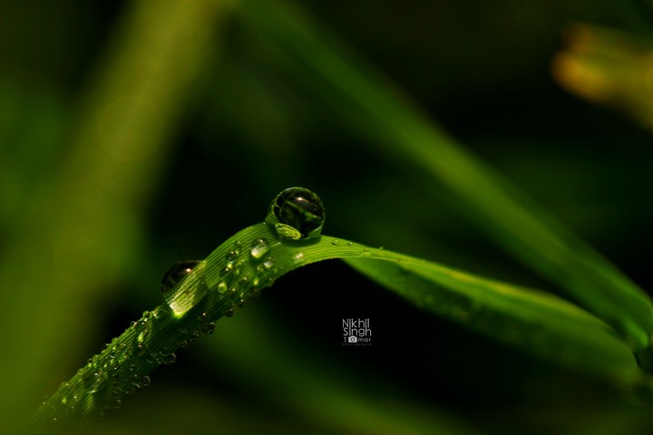 vortex of vivid