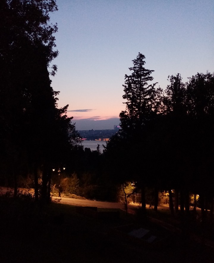 Ağaçlar ve gölgeleri