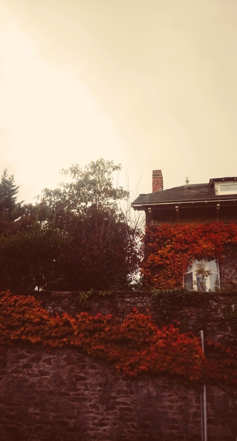 automne