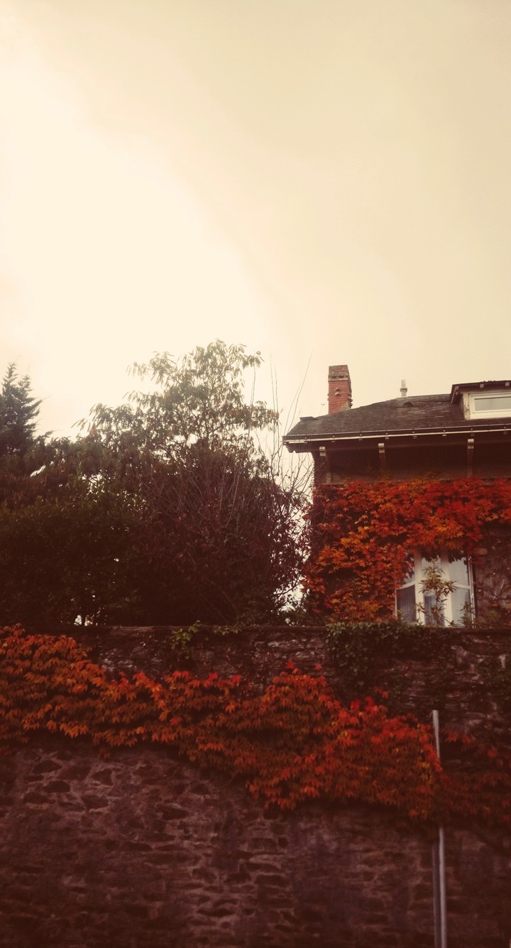 automne