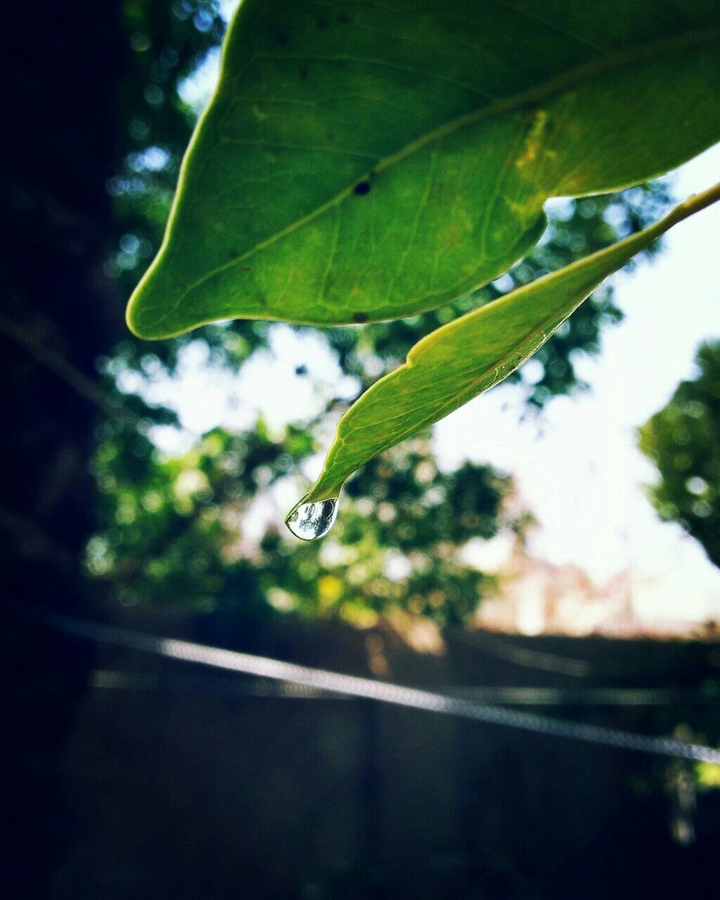 leaving ..