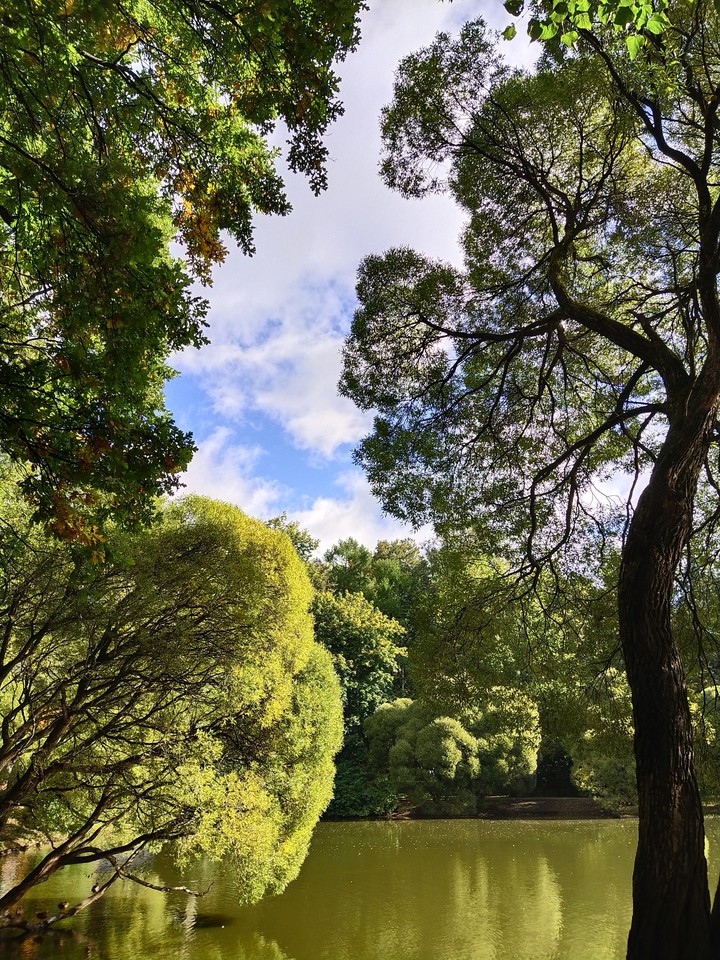 Green park