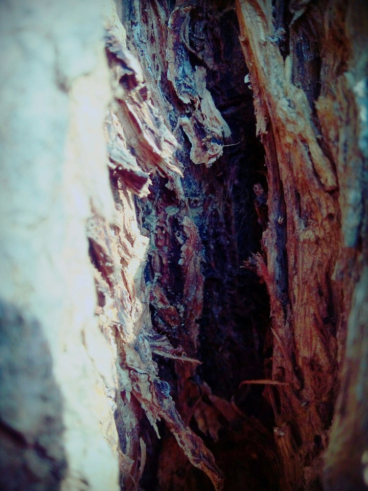 stranger's point