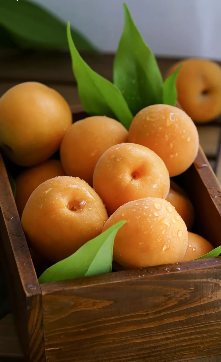 Apricot