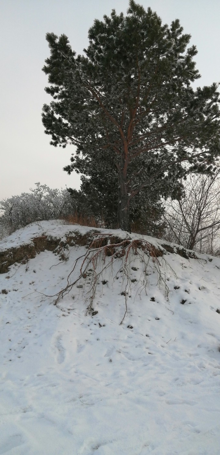 Зима