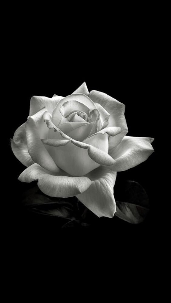 Black & white or...