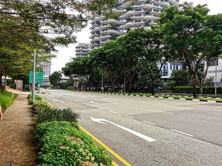 Singapore Spirit