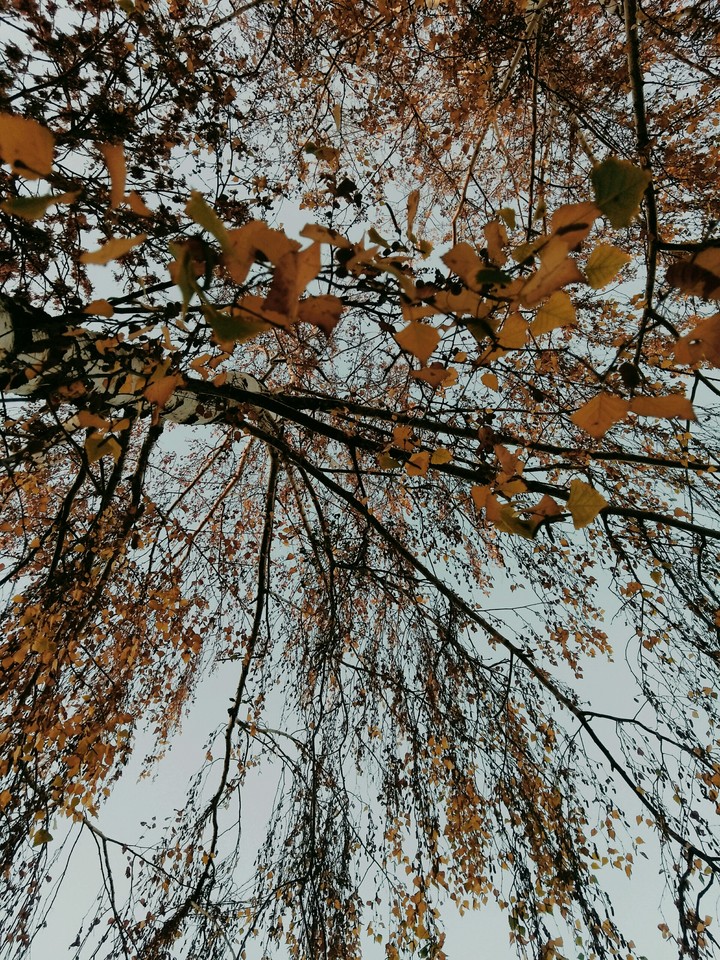 Осень