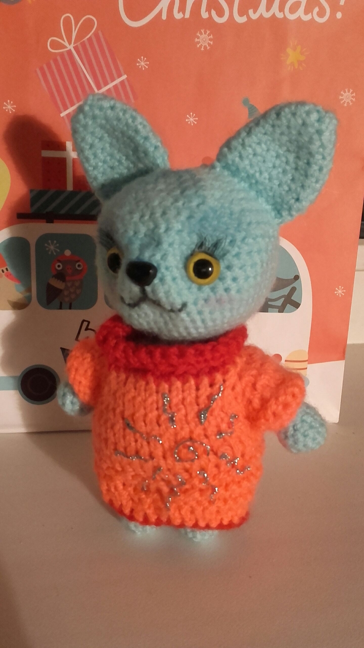 Winter kitten