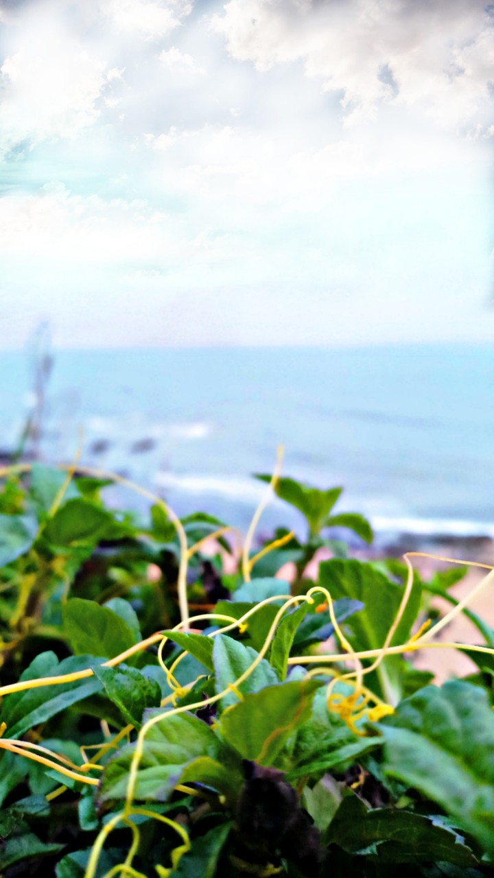 Nature is everything be a photographer is passion