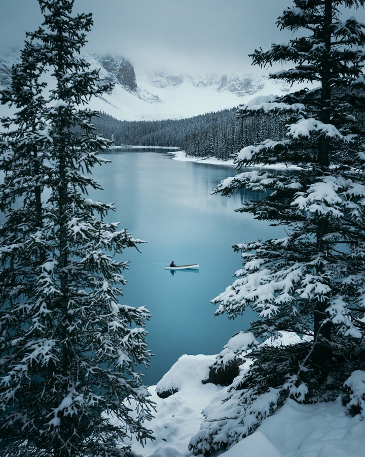 Winter❄