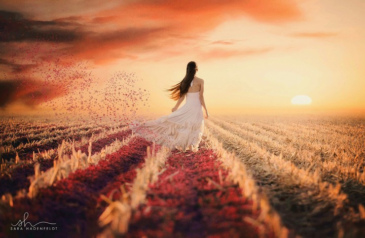 beautful landscape