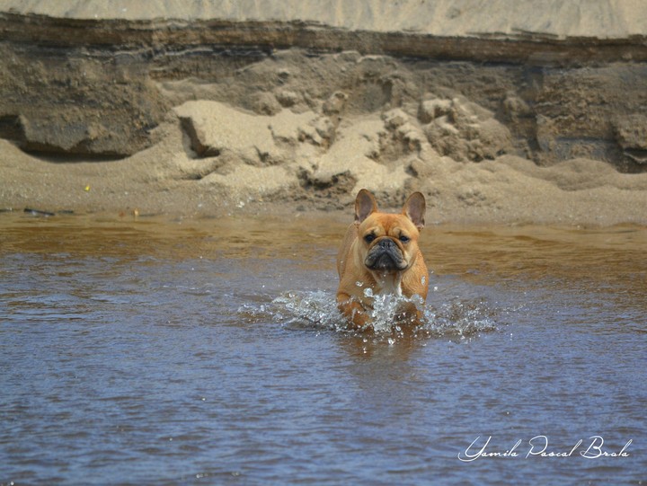 Cira play in the beach