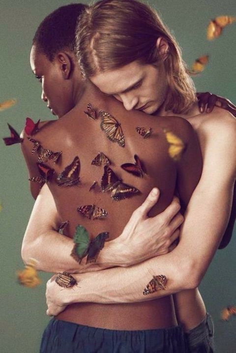 Butterflies