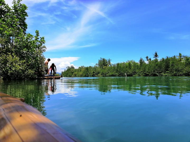 sky forest and river