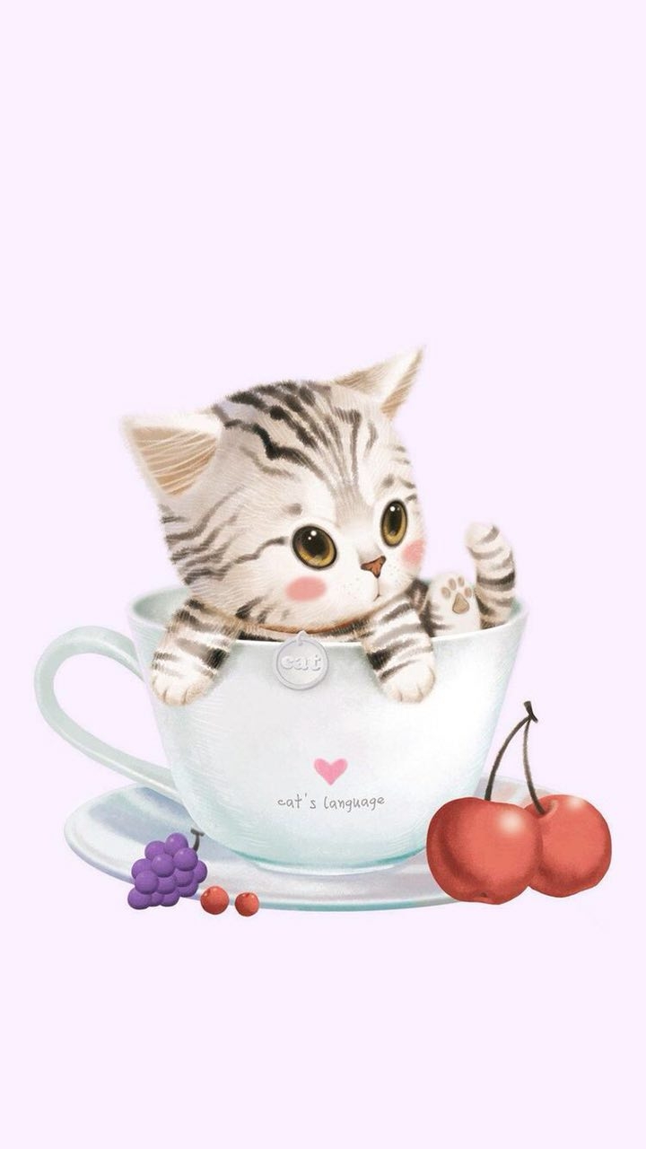 کارتونی طرح گربه