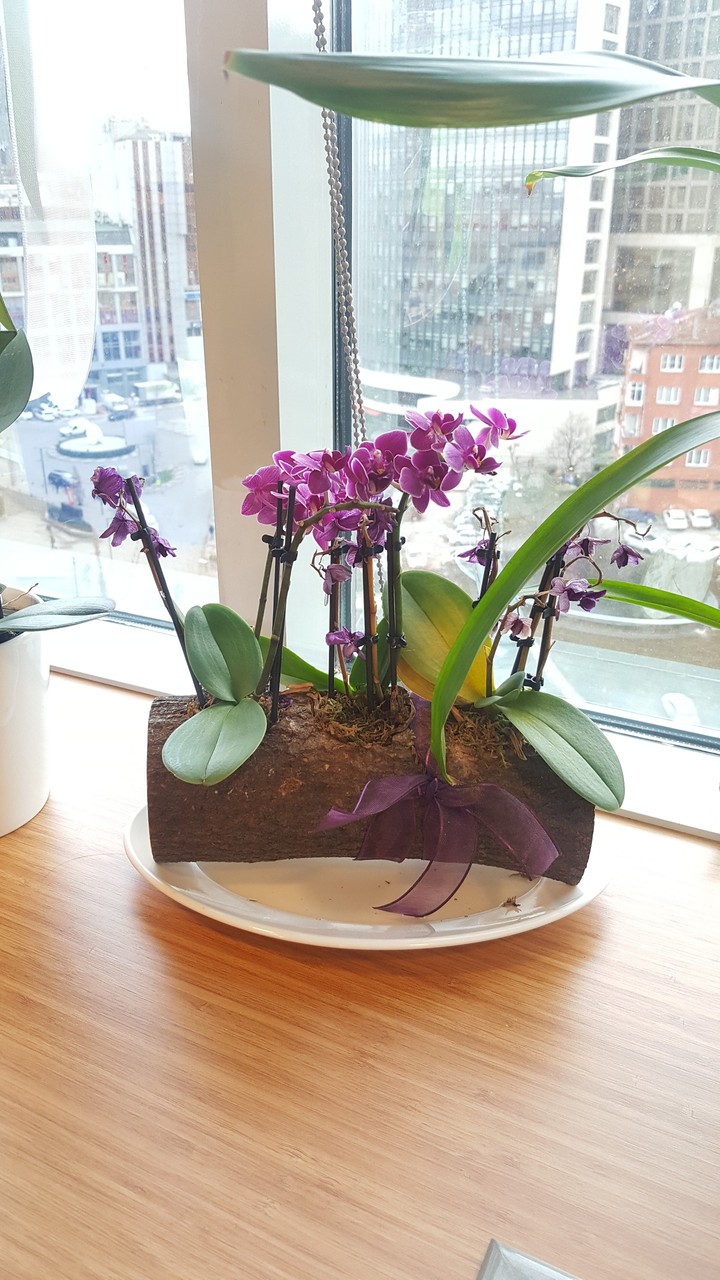 work windows