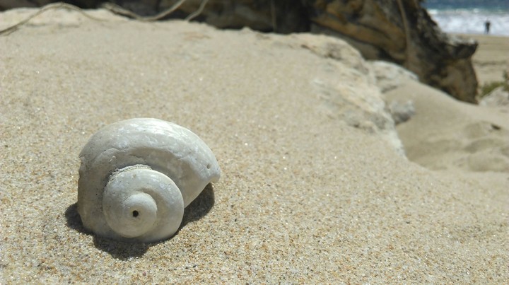 beach