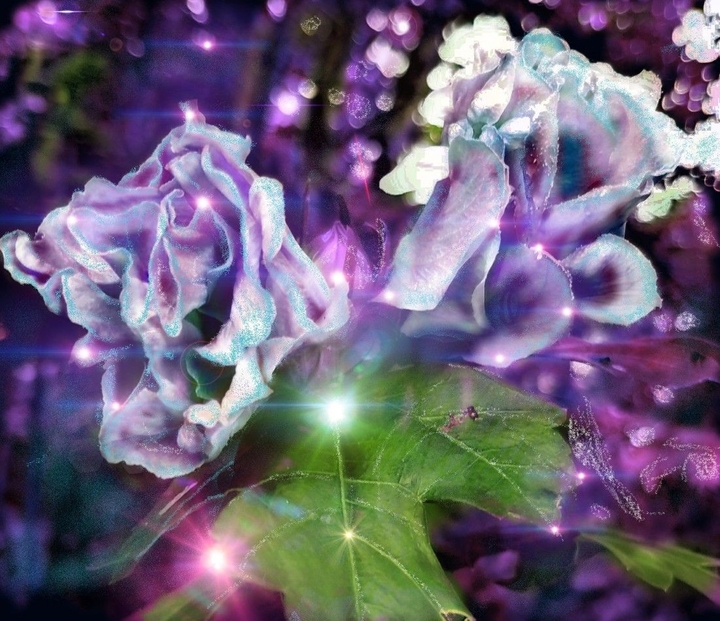 floral energy