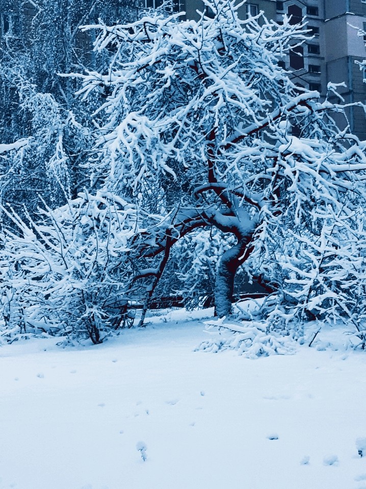 Winter day