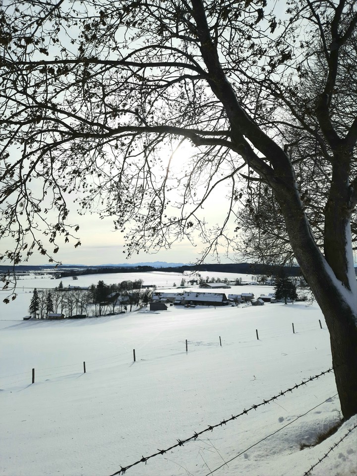 Wintersun