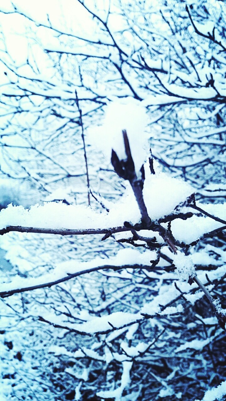 snow