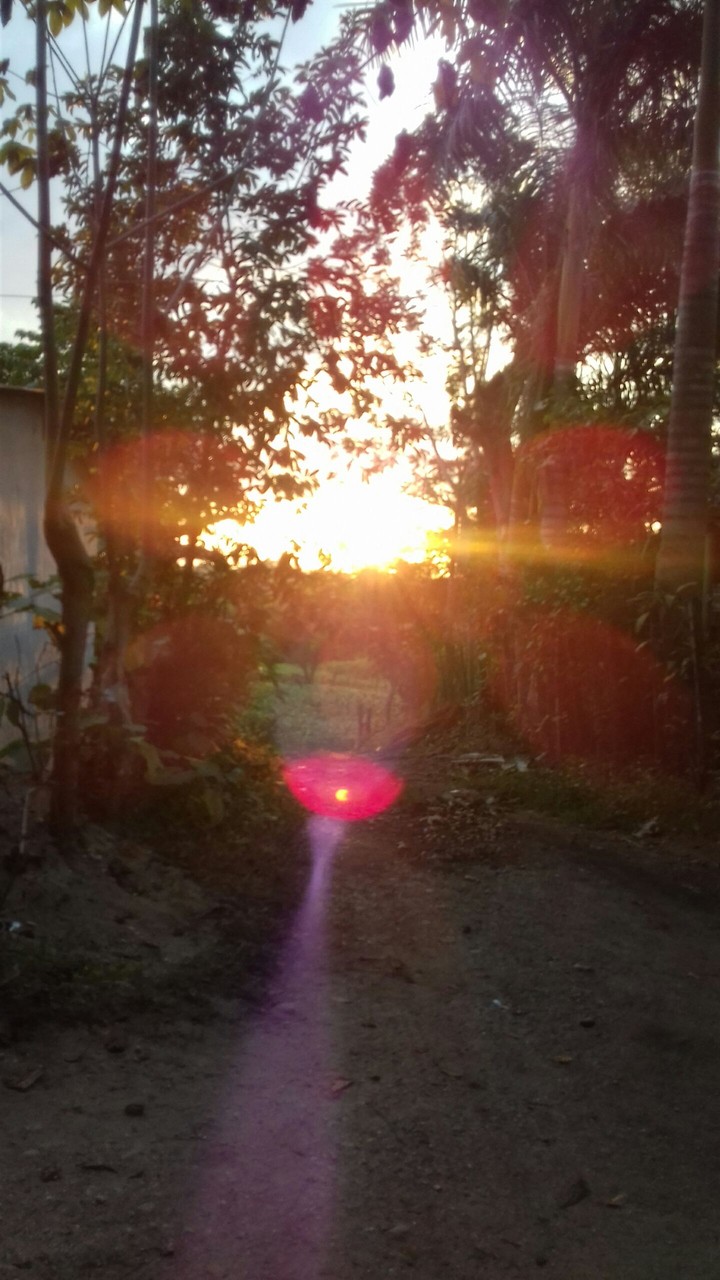 atardecer