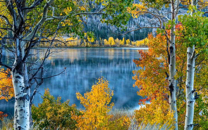 Herbst