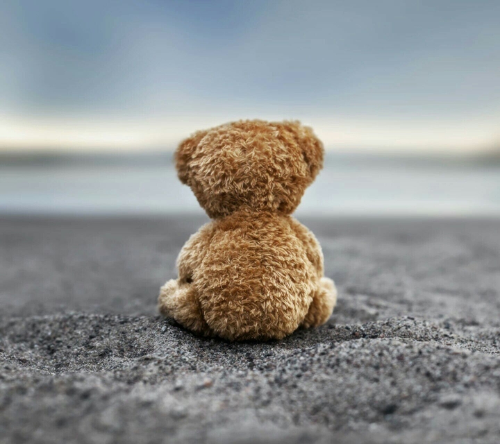 eddy teddy