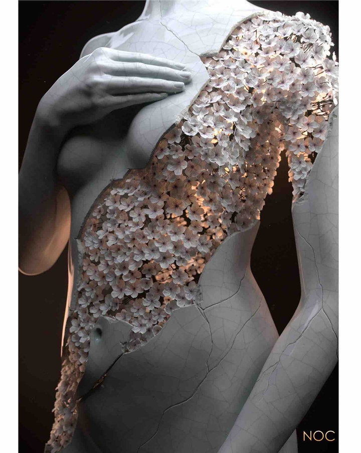 broken pieces