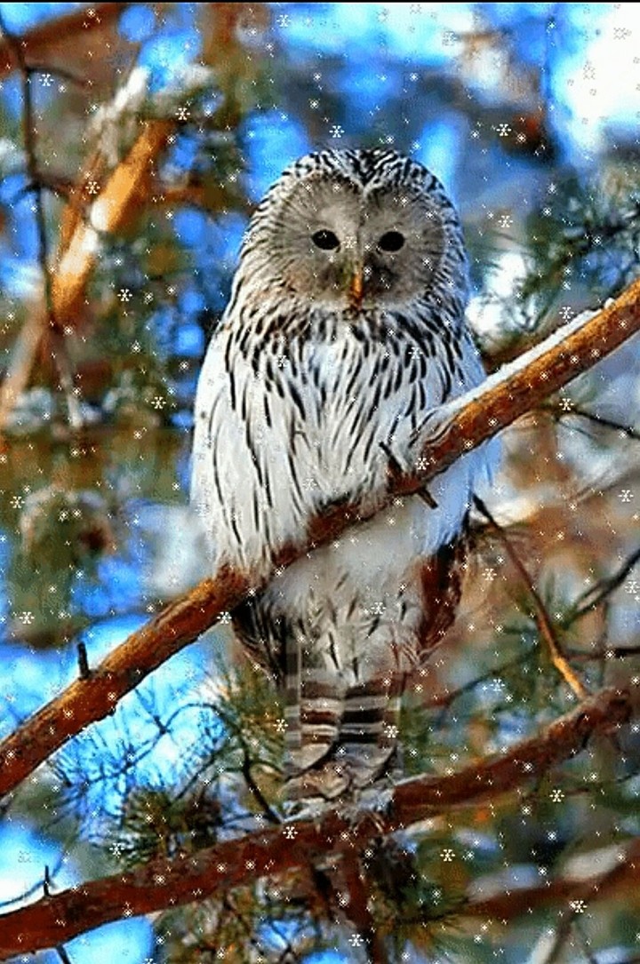 Nature.