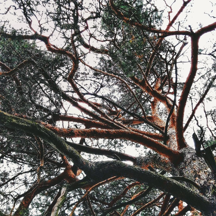 Up...