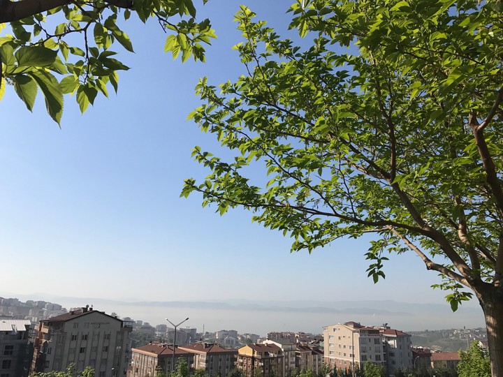 Saklıbahçem...