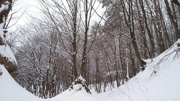 Ukraine