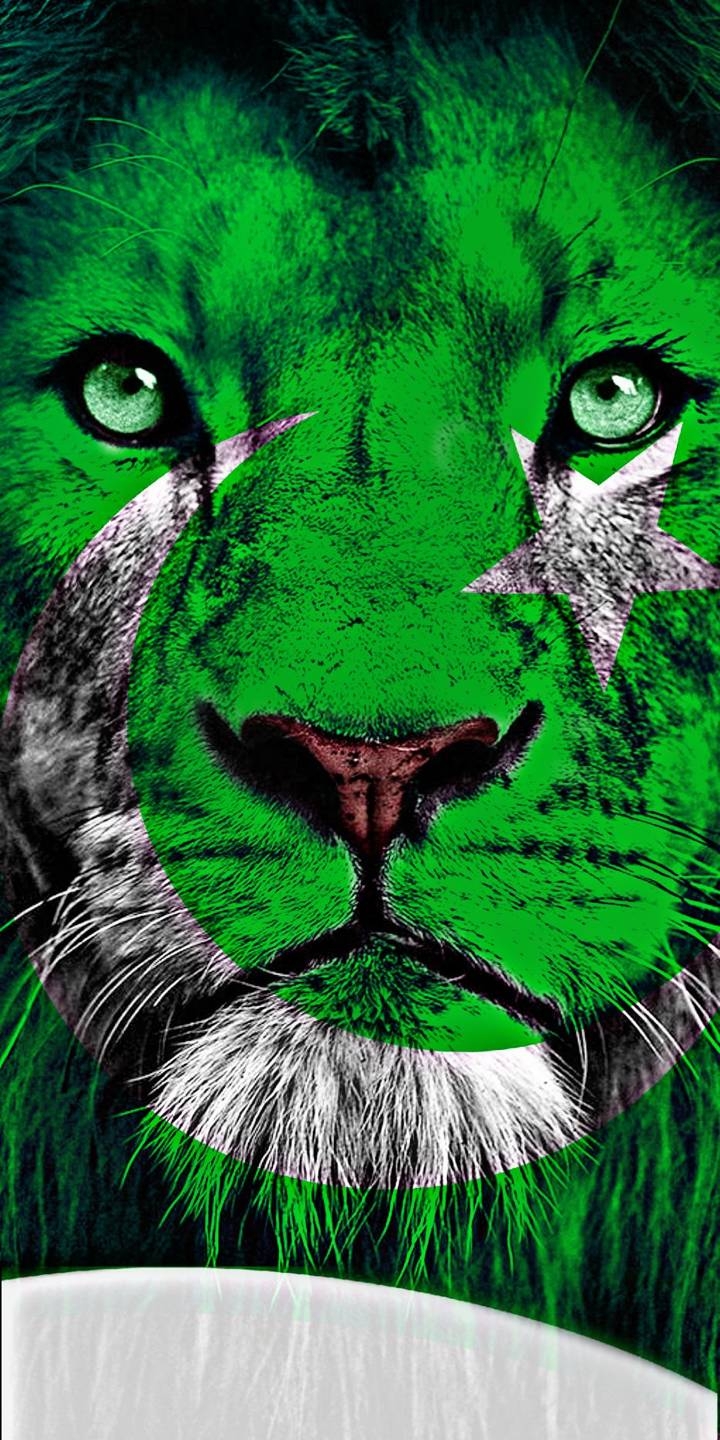 PAKISTAN TIGER