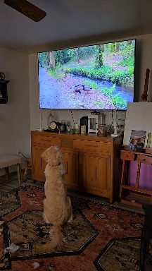 ? washing tv