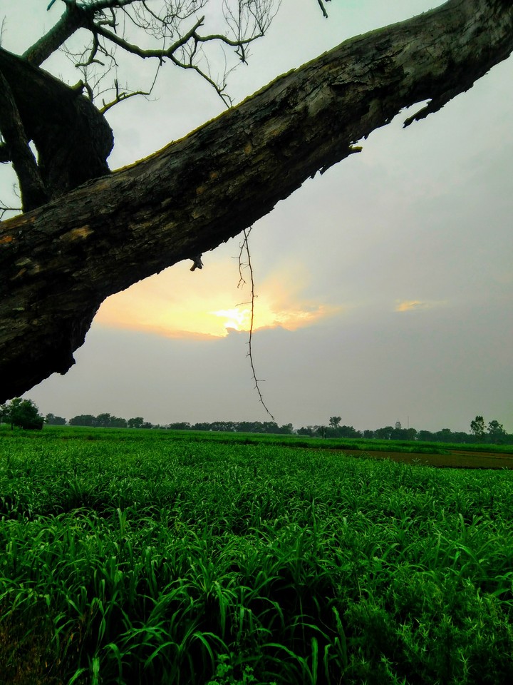 rainy sunset
