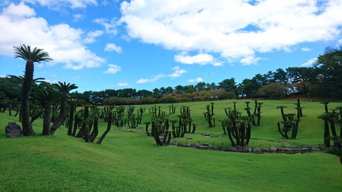 吉野公園
