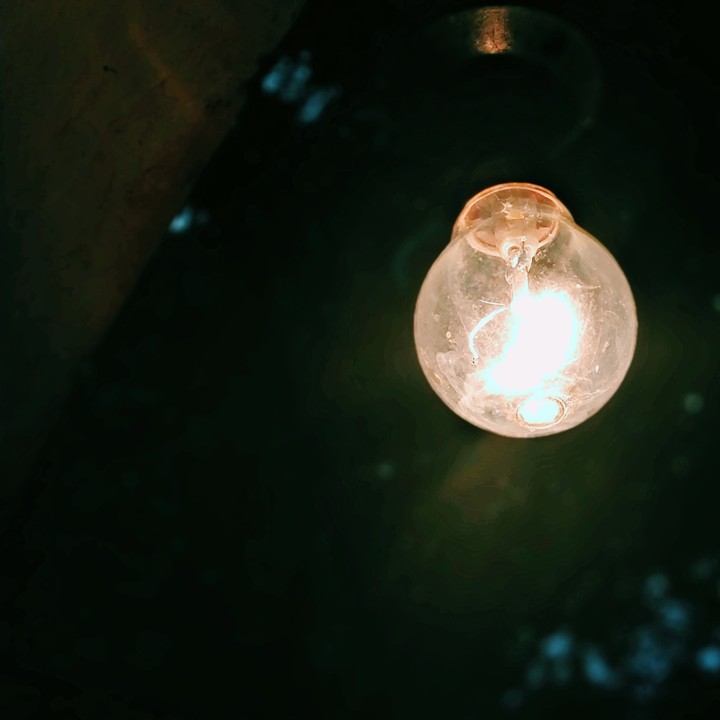 The bulb