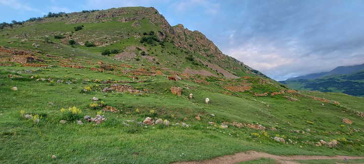 горы