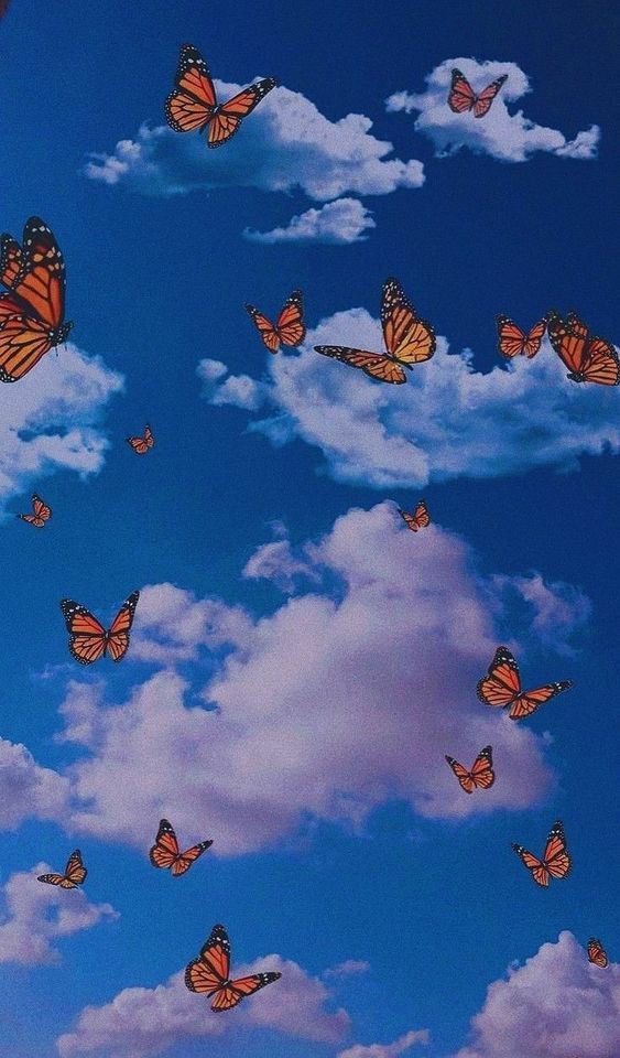 butterflys
