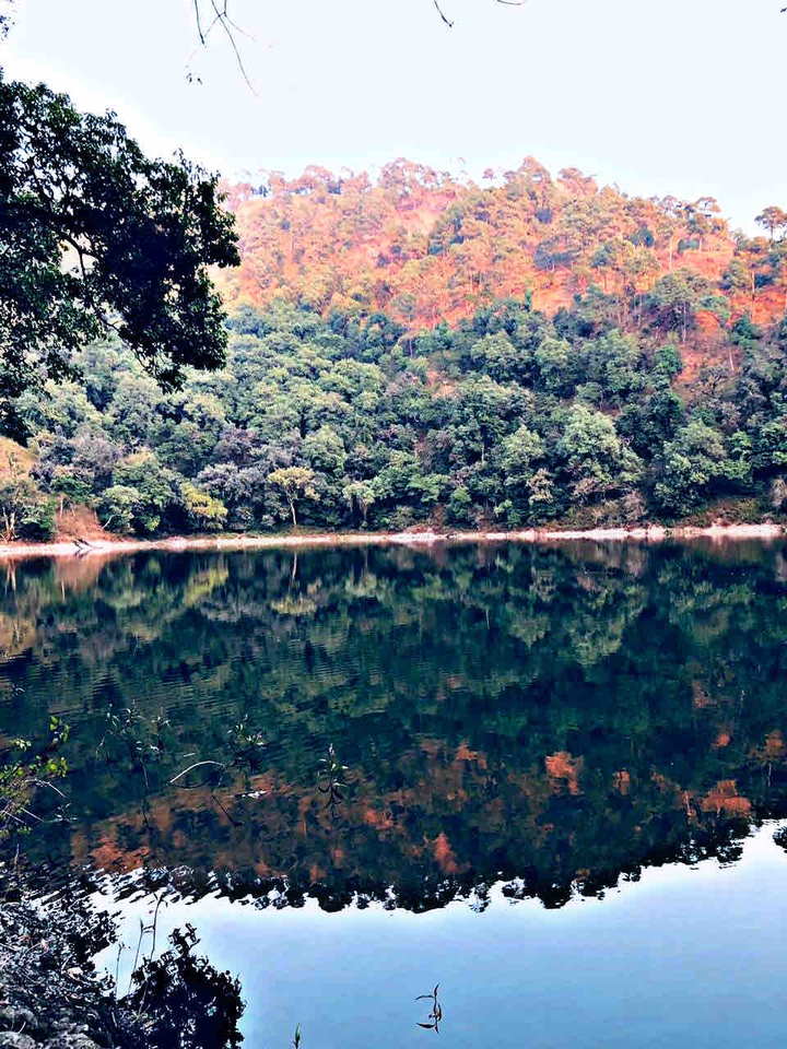 reflection