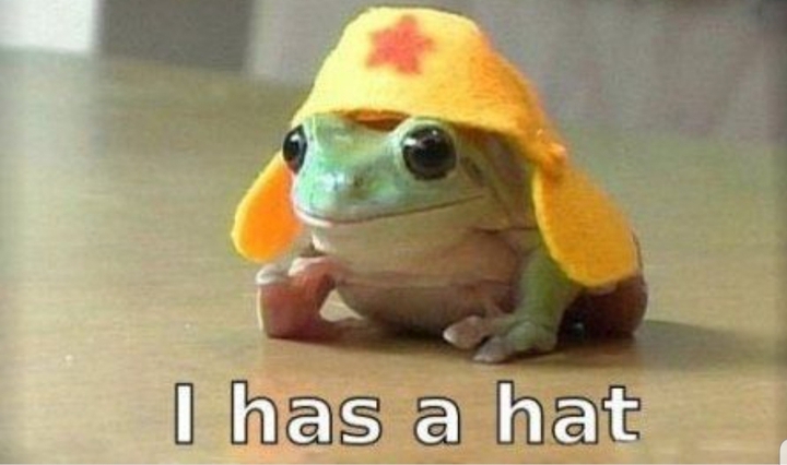 ♡ Froggy has nice hat ♡